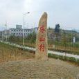 塔山村(安徽省定遠縣藕塘鎮下轄村) 塔山村(安徽省定遠縣藕塘鎮下轄村)