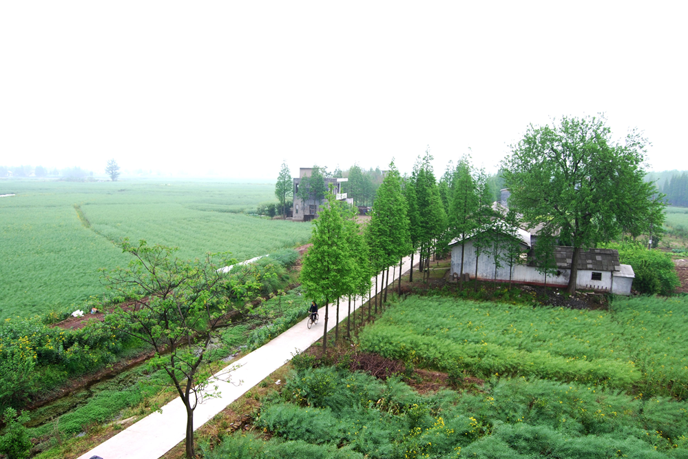 庹家崗遺址 庹家崗遺址