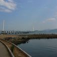 深圳灣公園