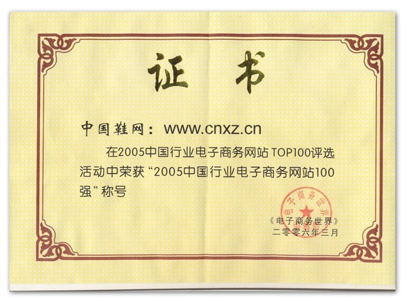 榮獲“2005年中國行業電子商務100強”稱號