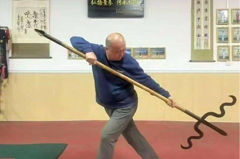 沙宗朝 沙宗朝