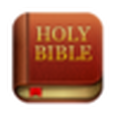 聖經Bible