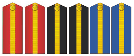 陸海空軍專業軍士肩章(1988-1993)