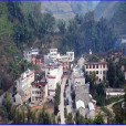 禿頭山村 禿頭山村
