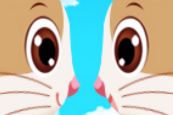 眼鬥眼 眼鬥眼