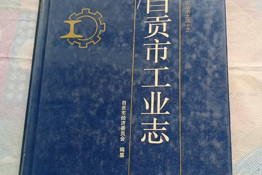 自貢市工業志 自貢市工業志