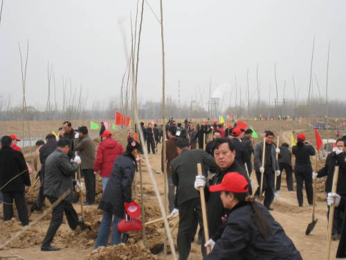 志願者在劉橋鎮種植樹木
