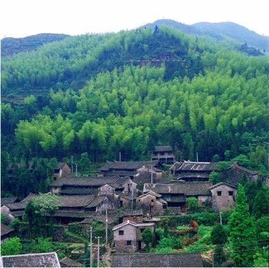 水碓坑 水碓坑