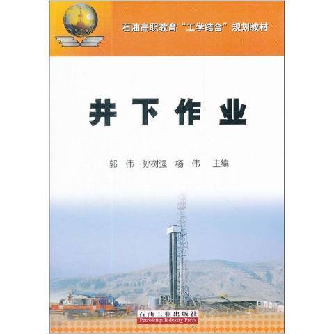 井下作業(2012年石油工業出版社出版的圖書) 井下作業(2012年石油工業出版社出版的圖書)