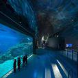 丹麥水族館 丹麥水族館