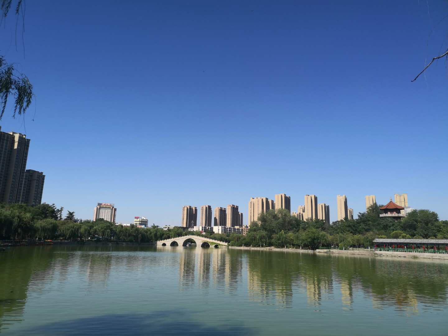 荊河公園