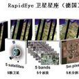 RapidEye RapidEye