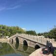 窯窪湖公園 窯窪湖公園