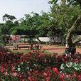黑沙公園 黑沙公園