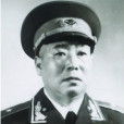 張廷楨(張廷禎)
