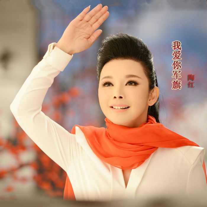 我愛你軍旗 我愛你軍旗