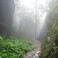 紫荊山景區 紫荊山景區