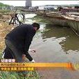 水熱污染 水熱污染