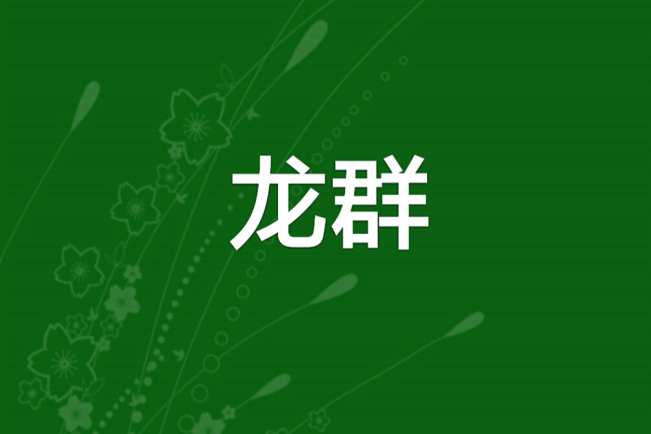 龍群(網路小說) 龍群(網路小說)