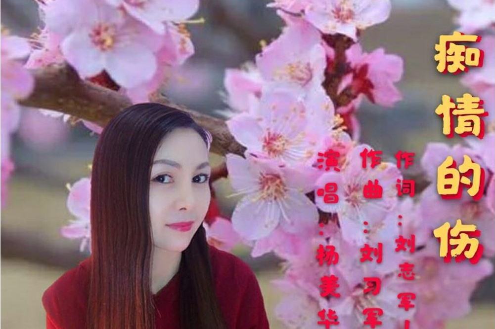 痴情的傷 痴情的傷
