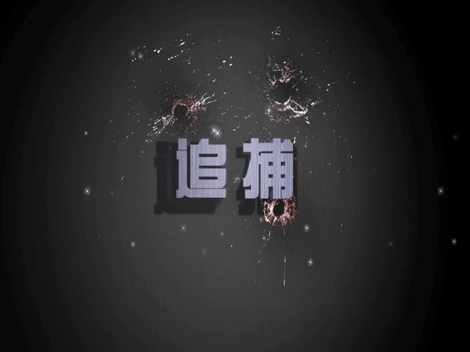 追捕(2011年陳曉雷執導電影) 追捕(2011年陳曉雷執導電影)