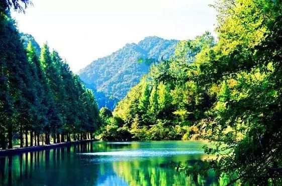 紫林山