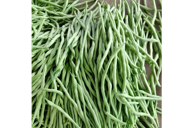 架豆 架豆