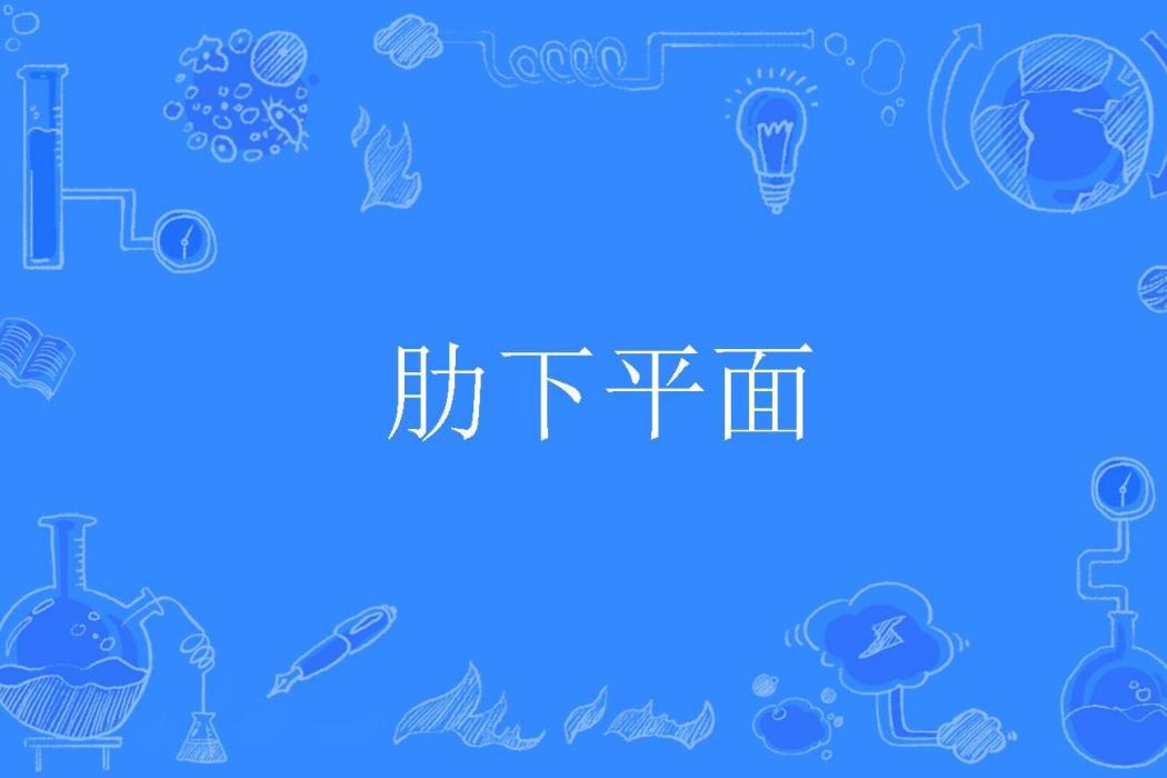 肋下平面 肋下平面