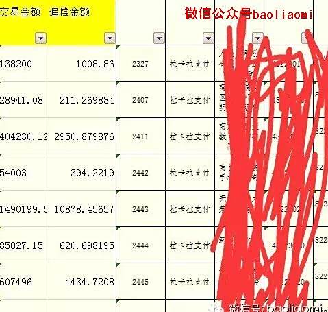 追索金額 追索金額