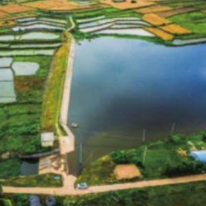 大胡莊水庫