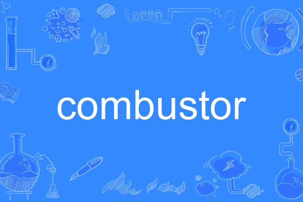 combustor combustor