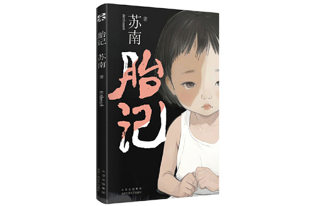 胎記(2024年北京十月文藝出版社出版的圖書) 胎記(2024年北京十月文藝出版社出版的圖書)