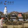五台山朝聖 五台山朝聖
