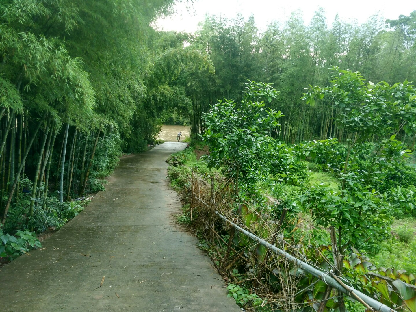 元興村