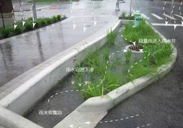 雨水管渠 雨水管渠