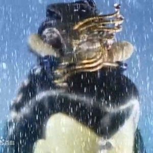 狼主(千雪孤鳴)