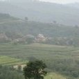 塔枝樹村(雲南楚雄市西舍路鄉下轄村) 塔枝樹村(雲南楚雄市西舍路鄉下轄村)