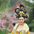 劉賢妃(《武媚娘傳奇》角色) 劉賢妃(《武媚娘傳奇》角色)