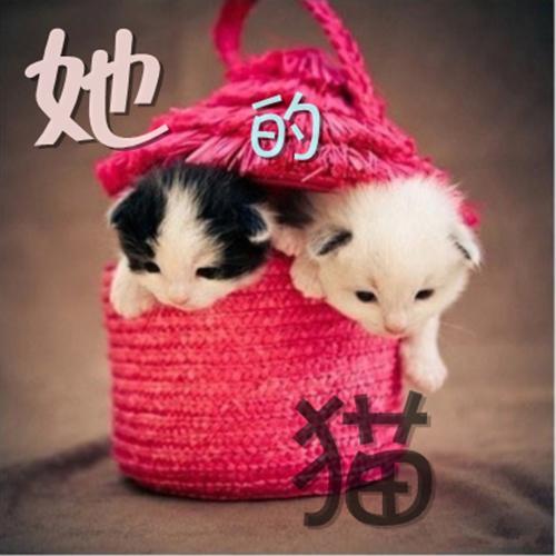 她的貓 她的貓