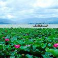 石屏異龍湖風景名勝區(異龍湖(異龍湖風景名勝區)) 石屏異龍湖風景名勝區(異龍湖(異龍湖風景名勝區))