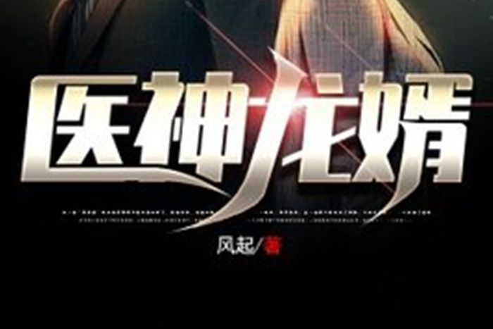 醫神龍婿 醫神龍婿