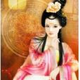 槿上花開 槿上花開