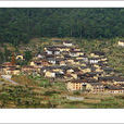 大地村(浙江省景寧縣大地鄉下轄村)
