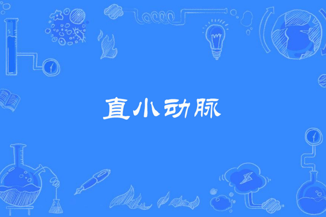 直小動脈 直小動脈