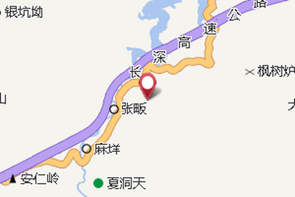 新岱林 新岱林