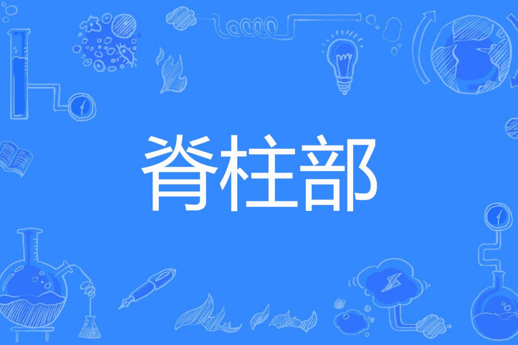 脊柱部
