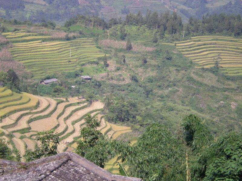 東瓜嶺村 東瓜嶺村