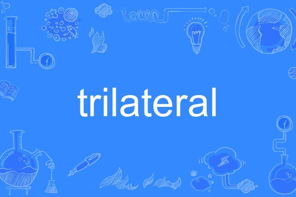 trilateral trilateral