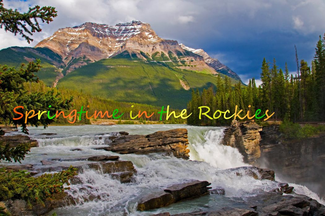 Springtime in the Rockies(Tiny Tim,Brave Combo演唱的英文單曲) Springtime in the Rockies(Tiny Tim,Brave Combo演唱的英文單曲)