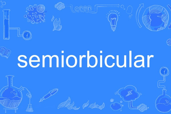 semiorbicular semiorbicular